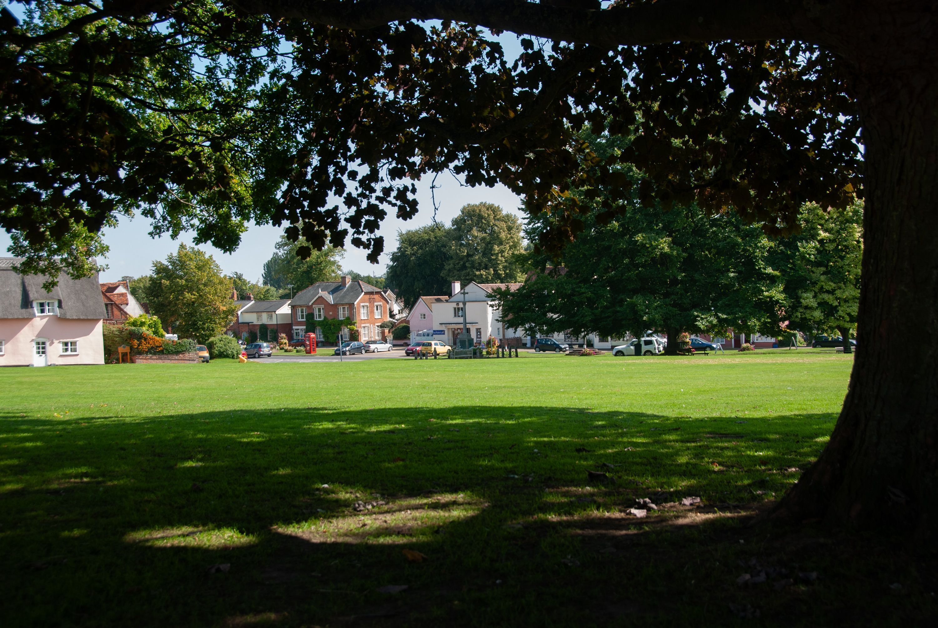 A park with a grassy field, trees, and houses in the background.