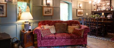 Smart TV, chimenea y libros