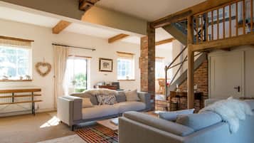 TV connectée, cheminée, livres