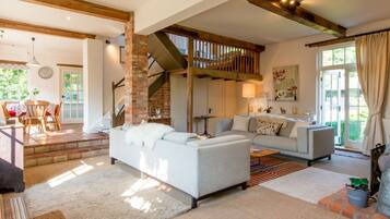 TV connectée, cheminée, livres