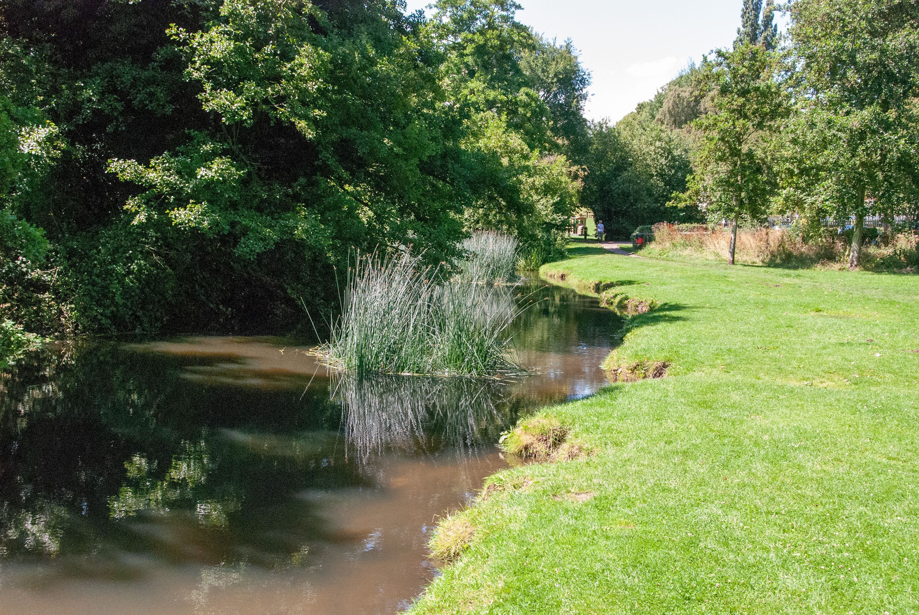 Um parque tranquilo às margens do rio, com gramado, árvores e uma pequena área de água.