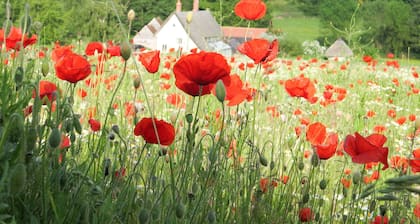 Mill Cottage - Escape to this beautiful cottage in its own private valley and enjoy nature.