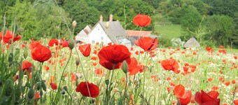 Mill Cottage set in a 70 acre Nature Reserve