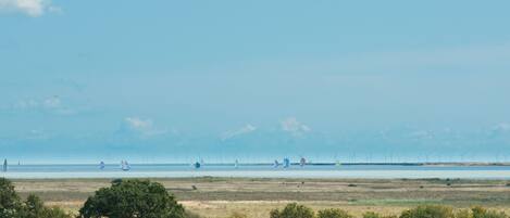 Un paysage côtier avec des éoliennes à l’horizon.