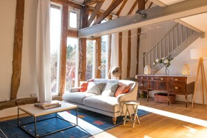 Una Smart TV, una chimenea, libros