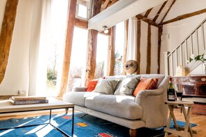 Una Smart TV, una chimenea, libros