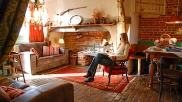 TV connectée, cheminée, lecteur de DVD, livres