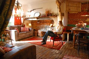 Smart TV, chimenea, reproductor de DVD y libros 