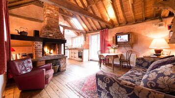 Smart TV, fireplace, DVD player, books