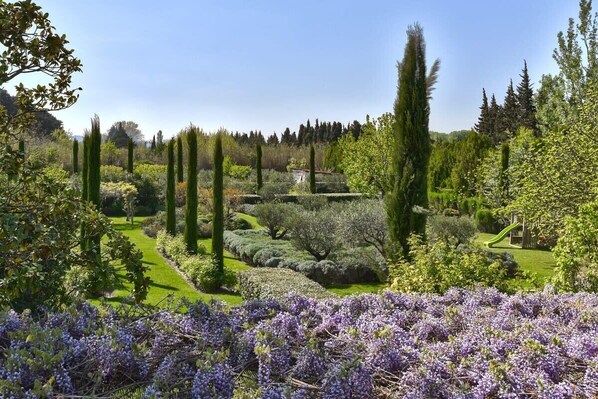 Property grounds - Mas de la Lône - Eygalières (Eygalières)