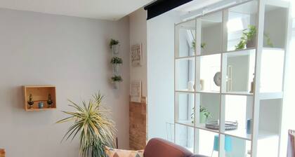 Chaleureux logement en hyper-centre