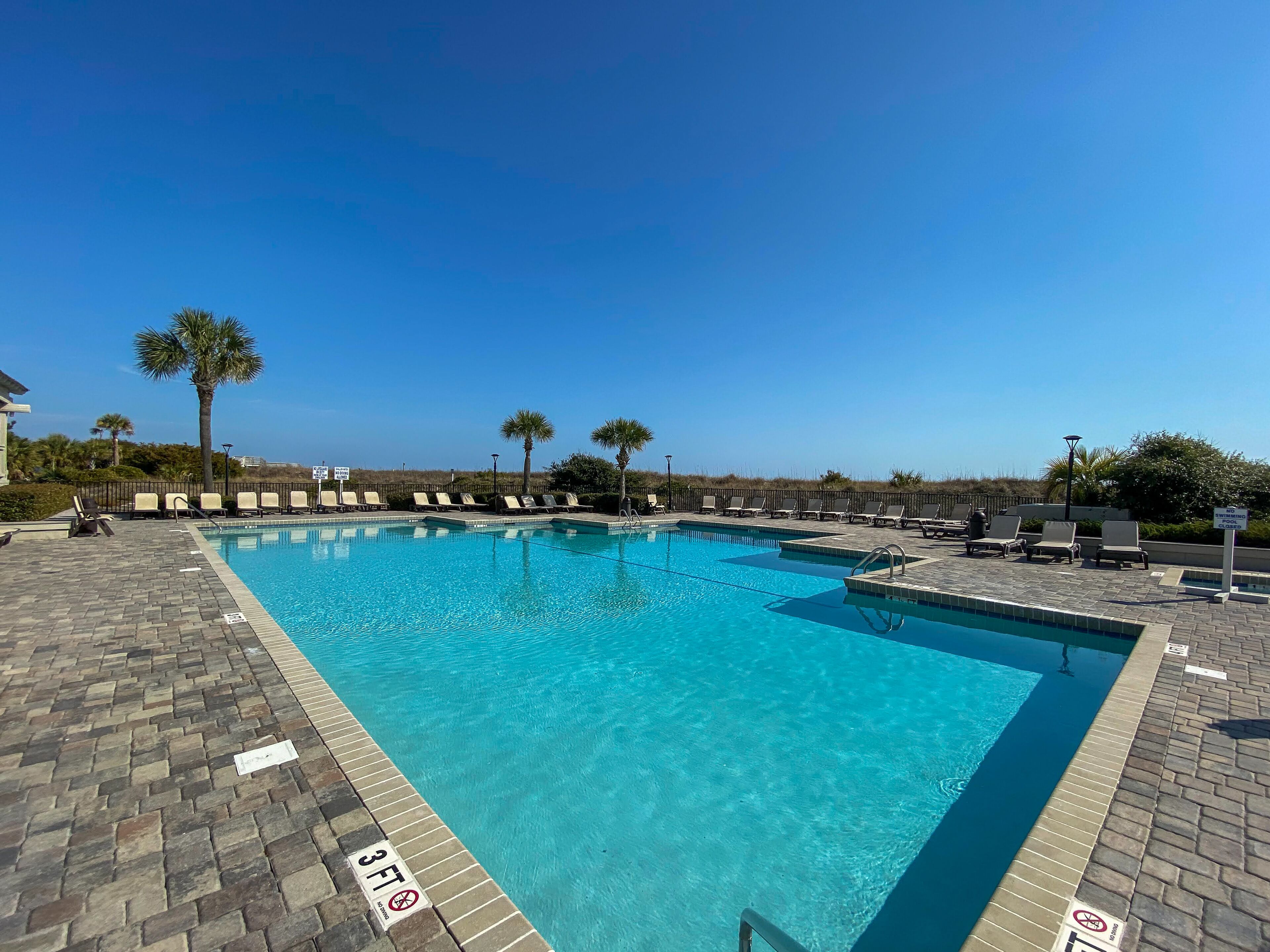A rectangular pool with clear blue water, surrounded by lounge chairs and palm trees.