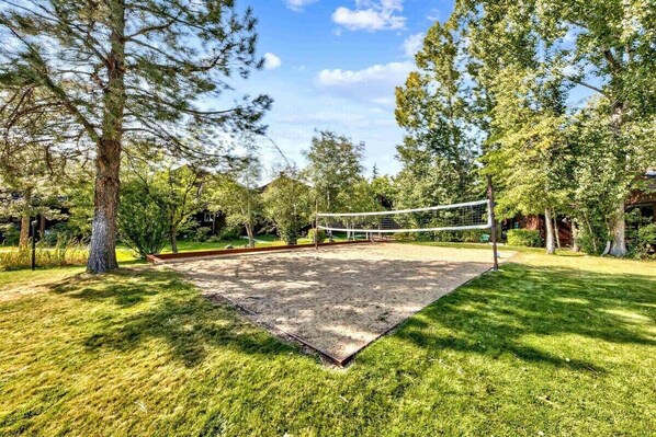 Ein Volleyballplatz, umgeben von Bäumen und Gras.