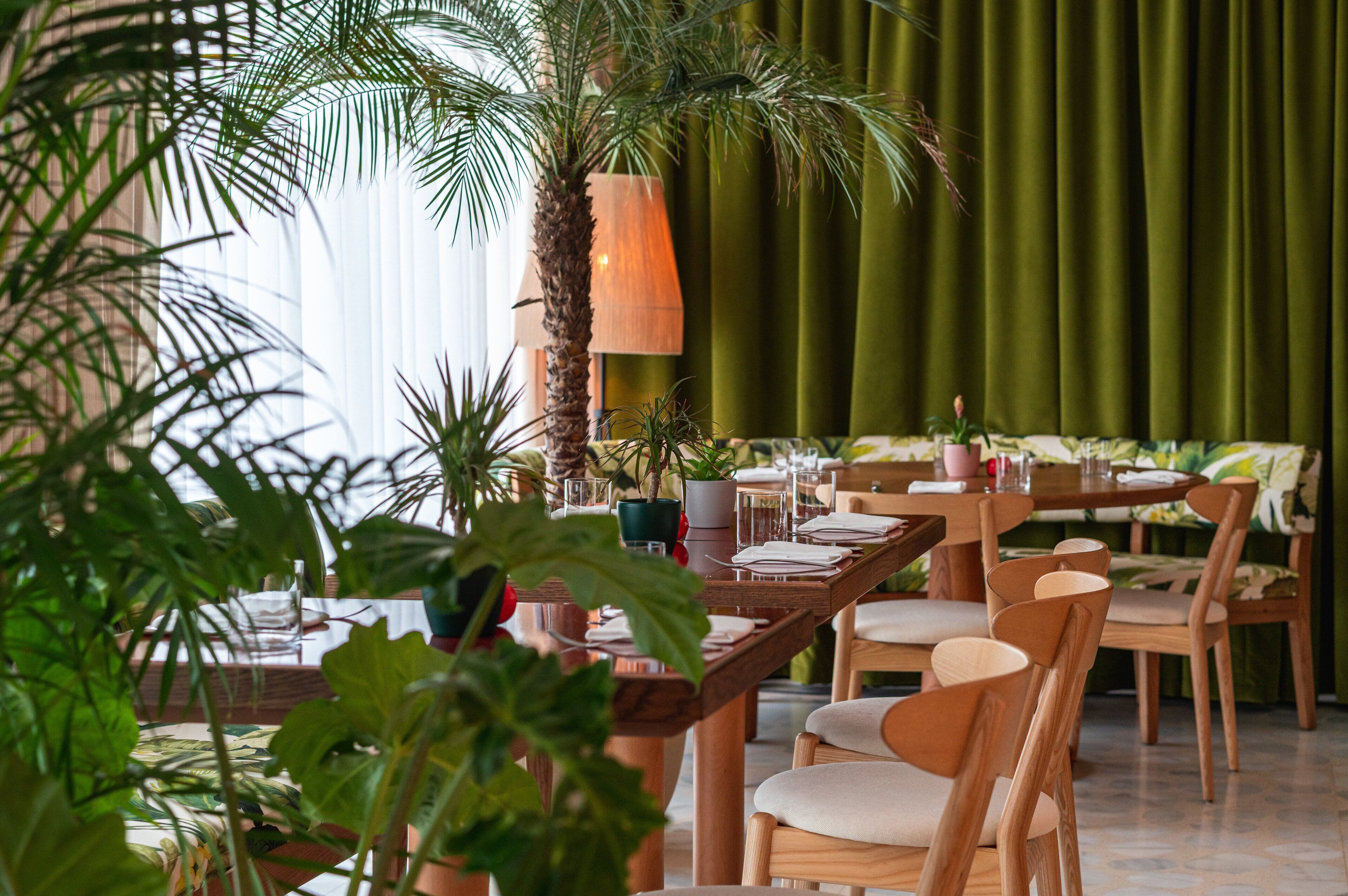 Photo - The Standard, Ibiza