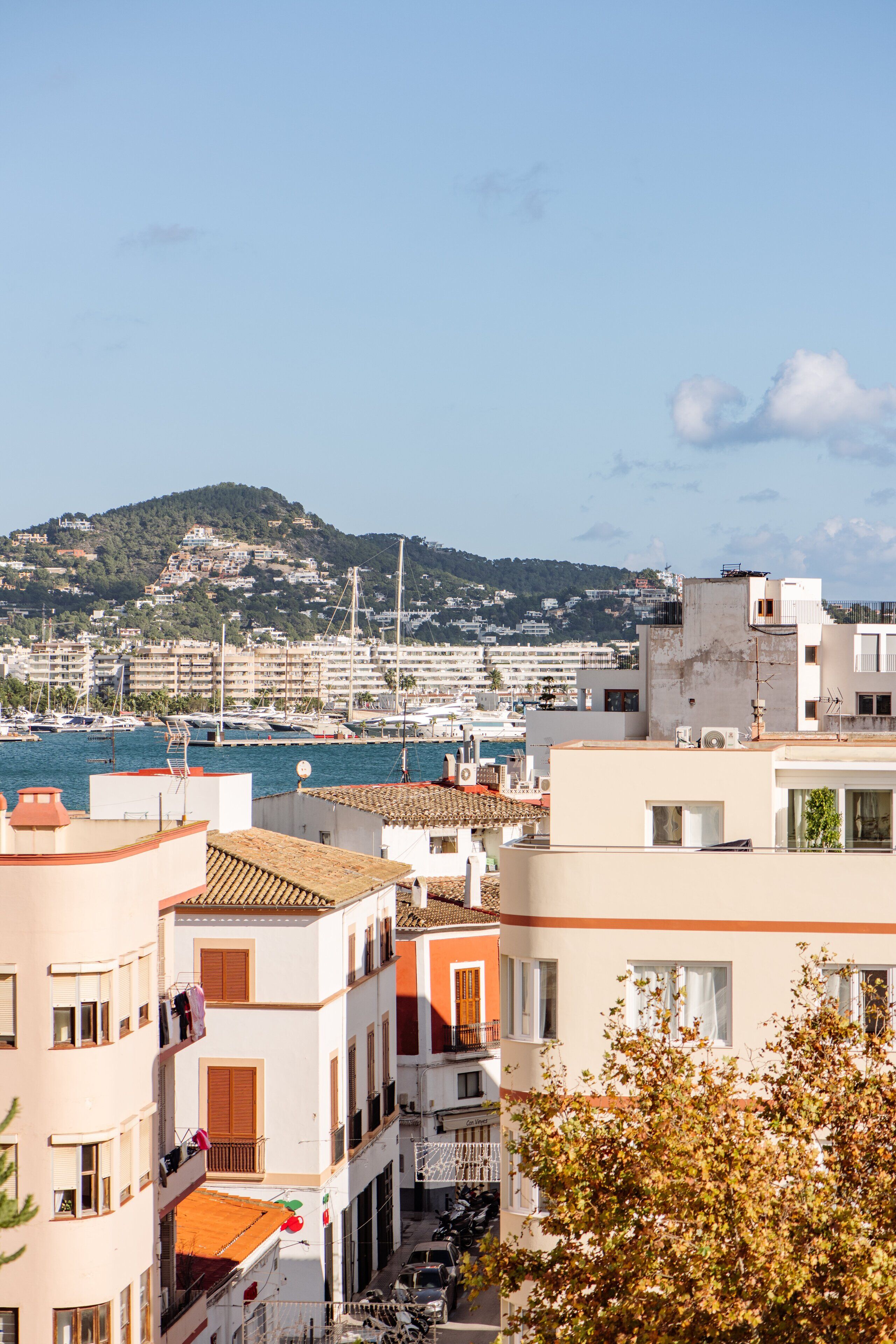 Photo - The Standard, Ibiza