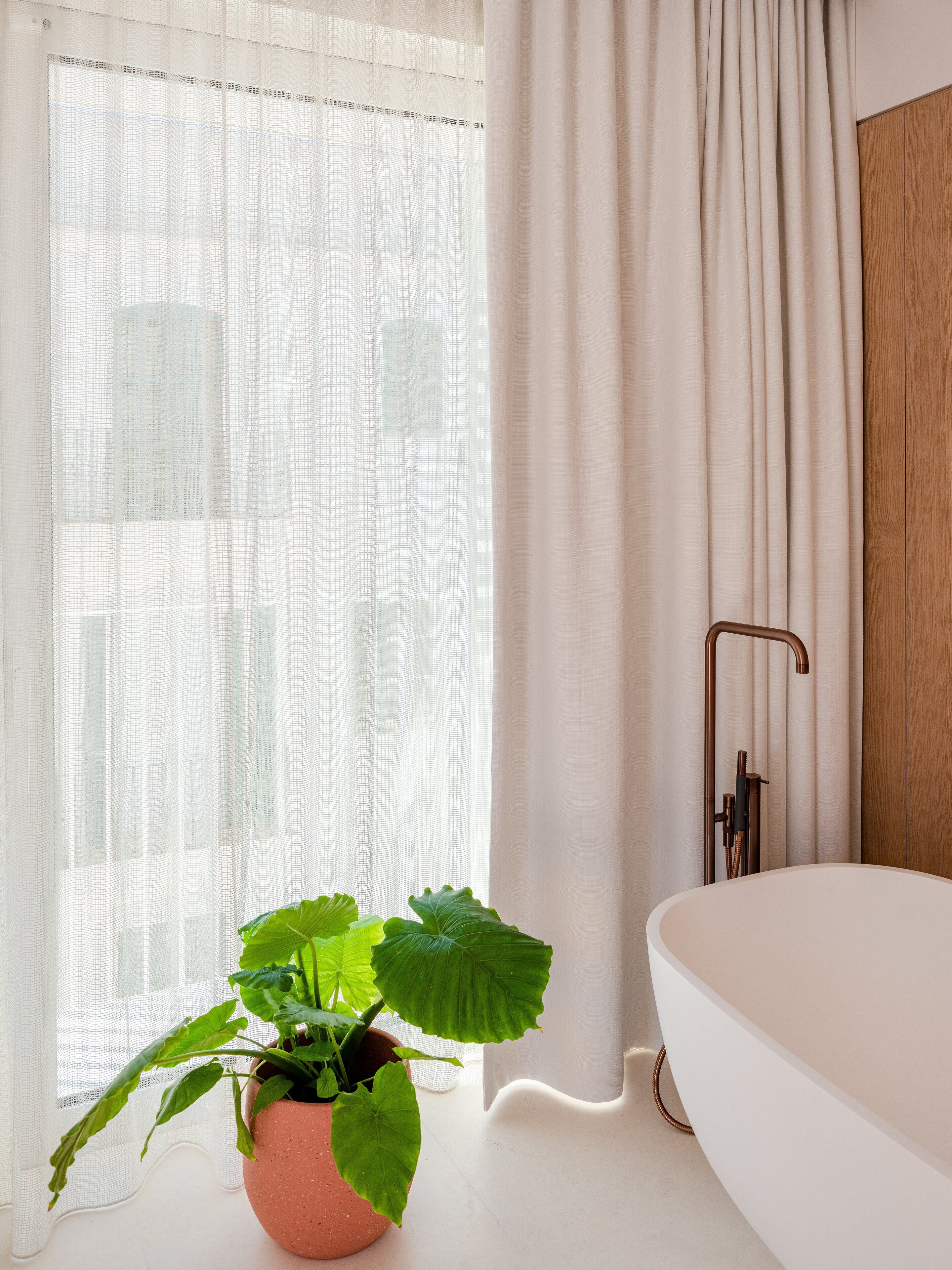 Un baño moderno con una bañera, una planta en maceta y una zona de ducha.