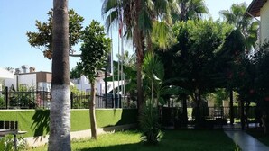 Un patio cuidado con palmeras, césped y una valla.