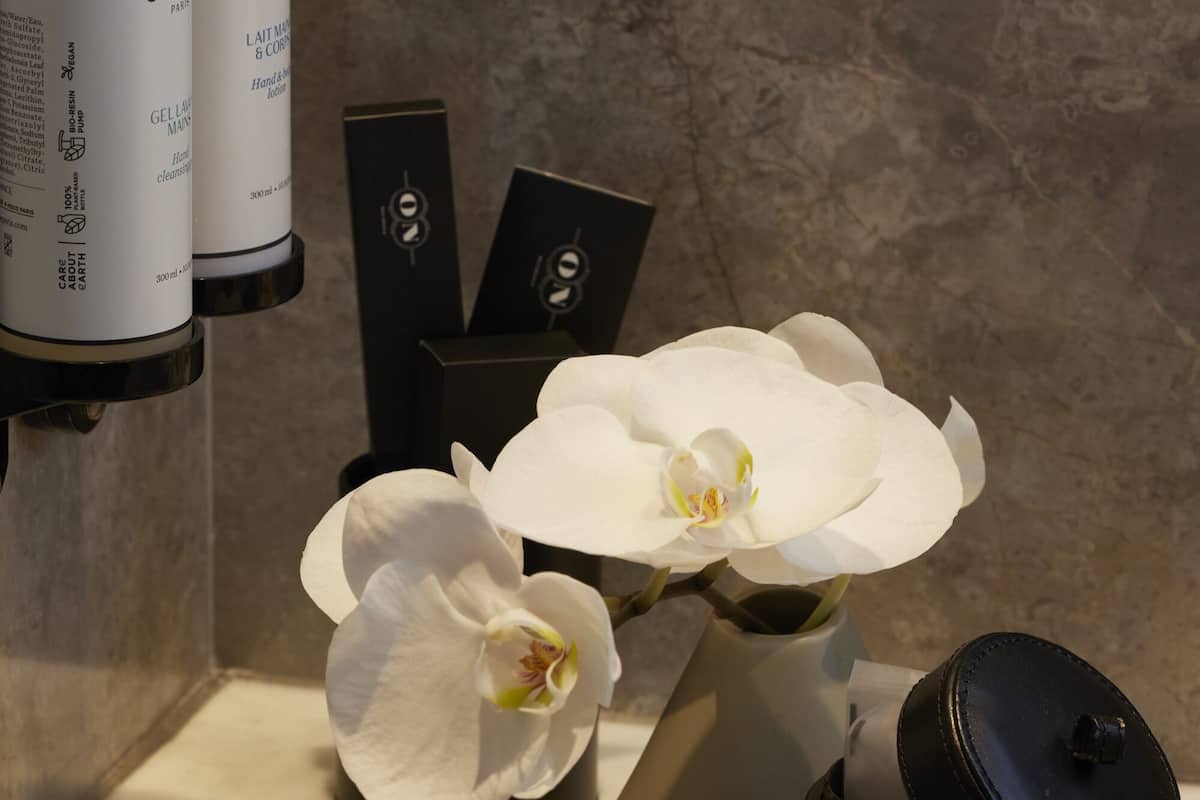 rainfall showerhead, eco-friendly toiletries, bathrobes, slippers