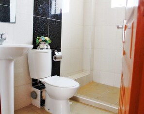 Shower, hair dryer, towels, soap