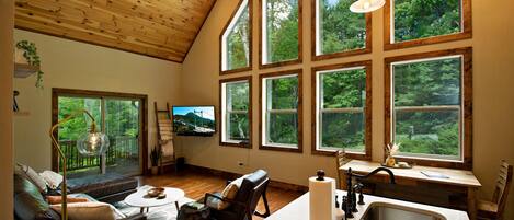 TV connectée, cheminée, livres, espaces bureaux