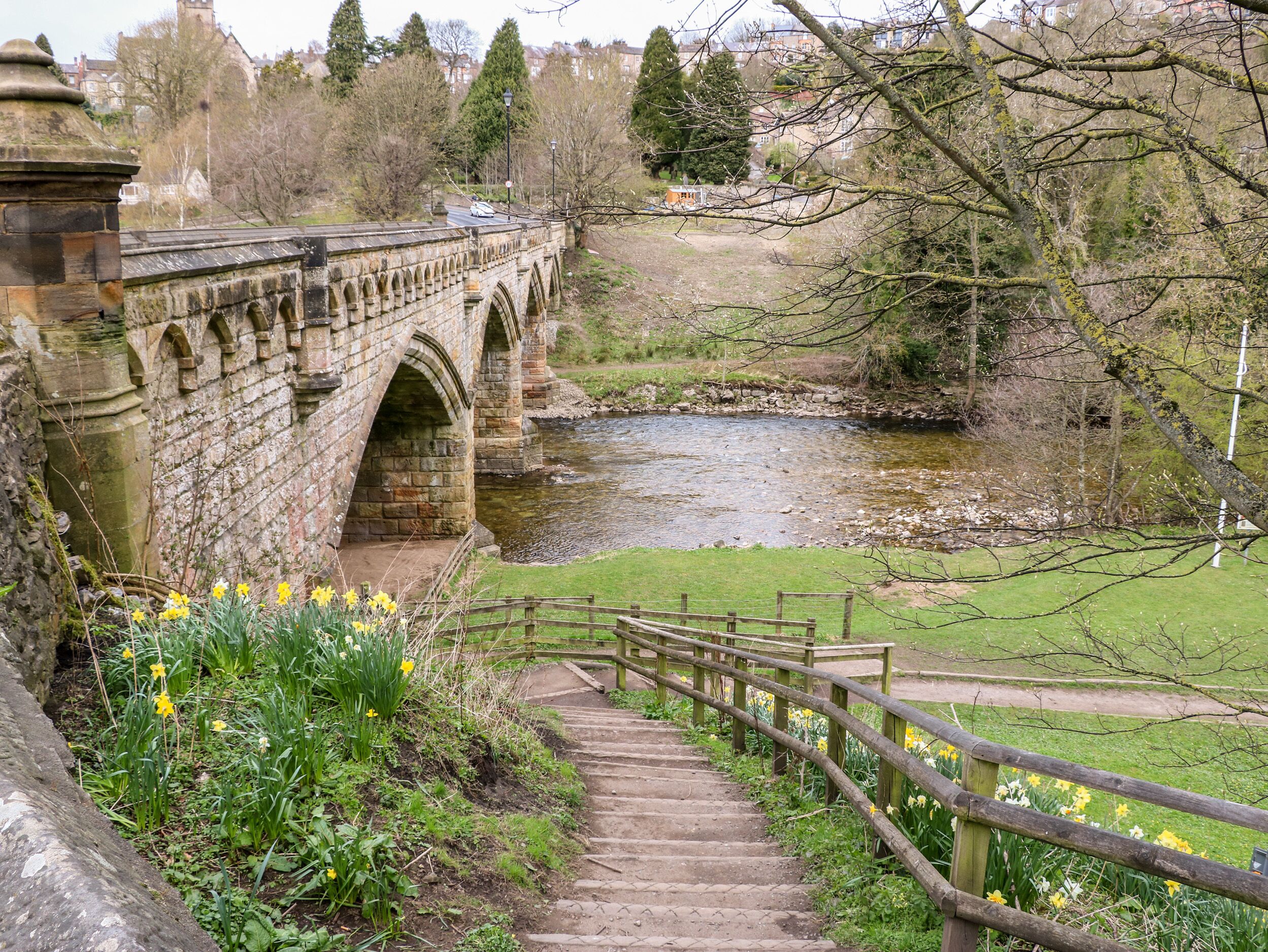 A stone bridge with arched walkways over a river, surrounded by greenery and daffodils.