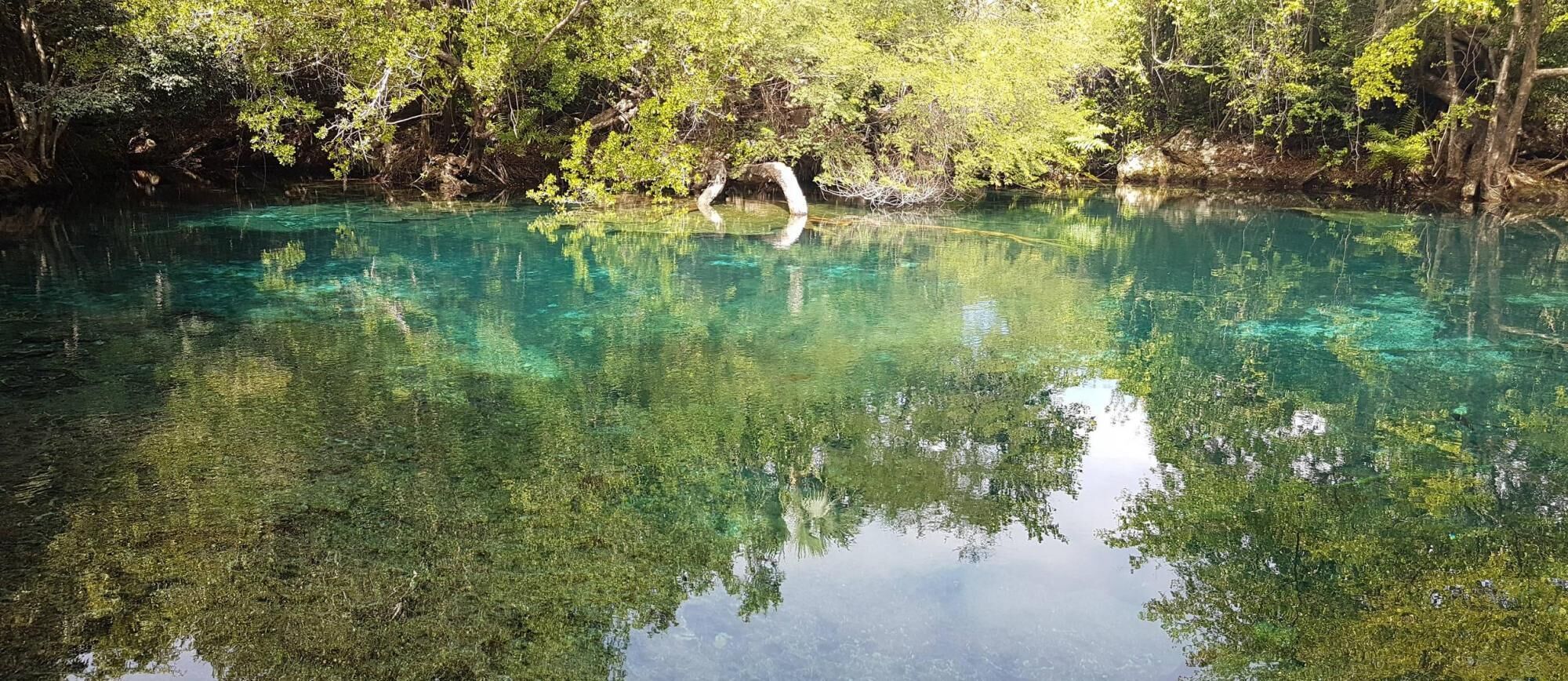 Foto - Golf-front villa with large spaces, staff and pool, situated in luxury beach resort