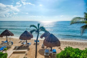 A beach with thatched umbrellas, lounge chairs, and a palm tree.