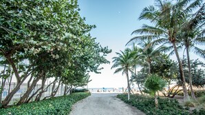 A pathway leading to a beach with palm trees and a fence on one side.