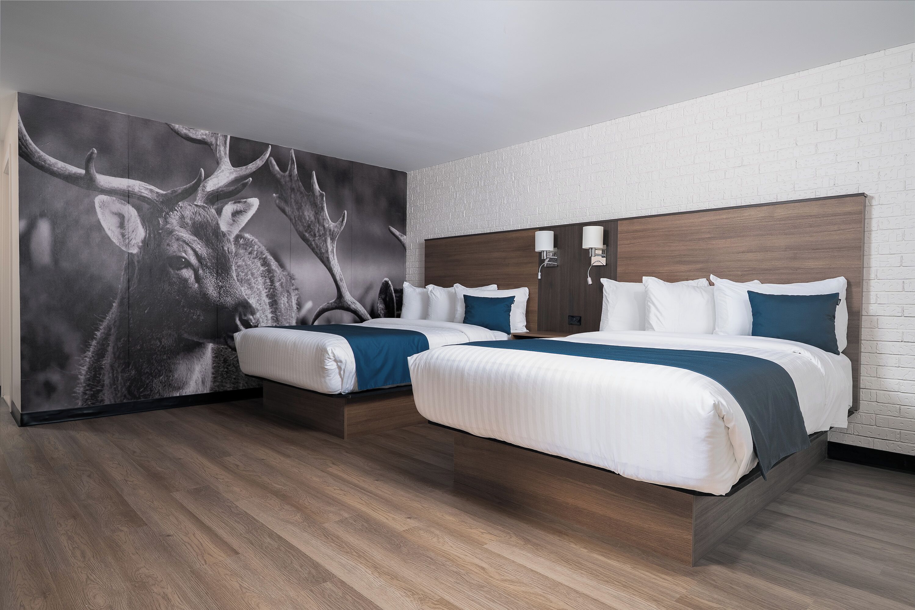 Superior Room 2 Queen Beds | 각각 다른 스타일의 인테리어, 각각 다르게 가구 비치, 노트북 작업 공  간, 방음 설비