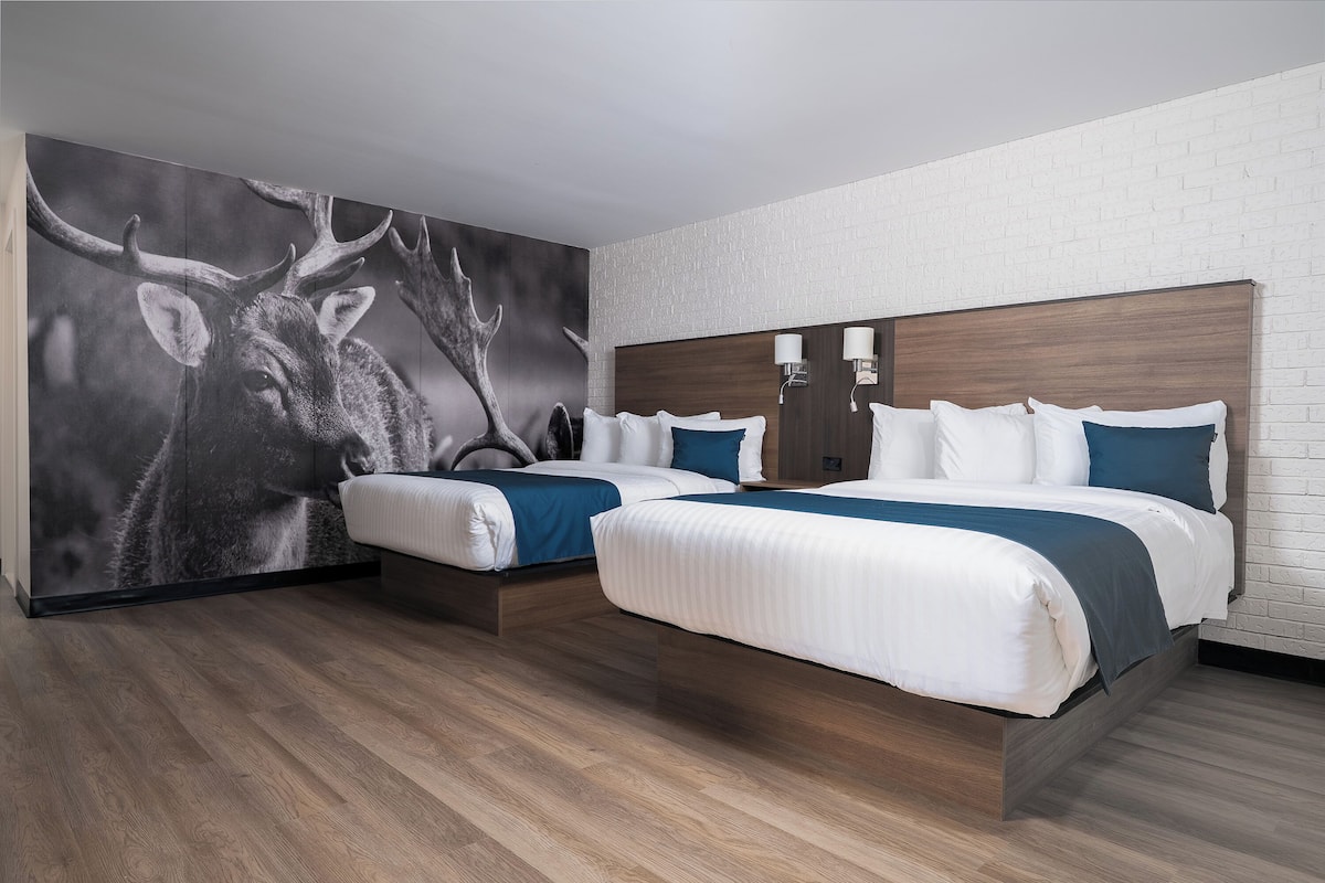 Superior Room 2 Queen Beds | 筆電工作空間、隔音、免費無線上網、獨特裝潢