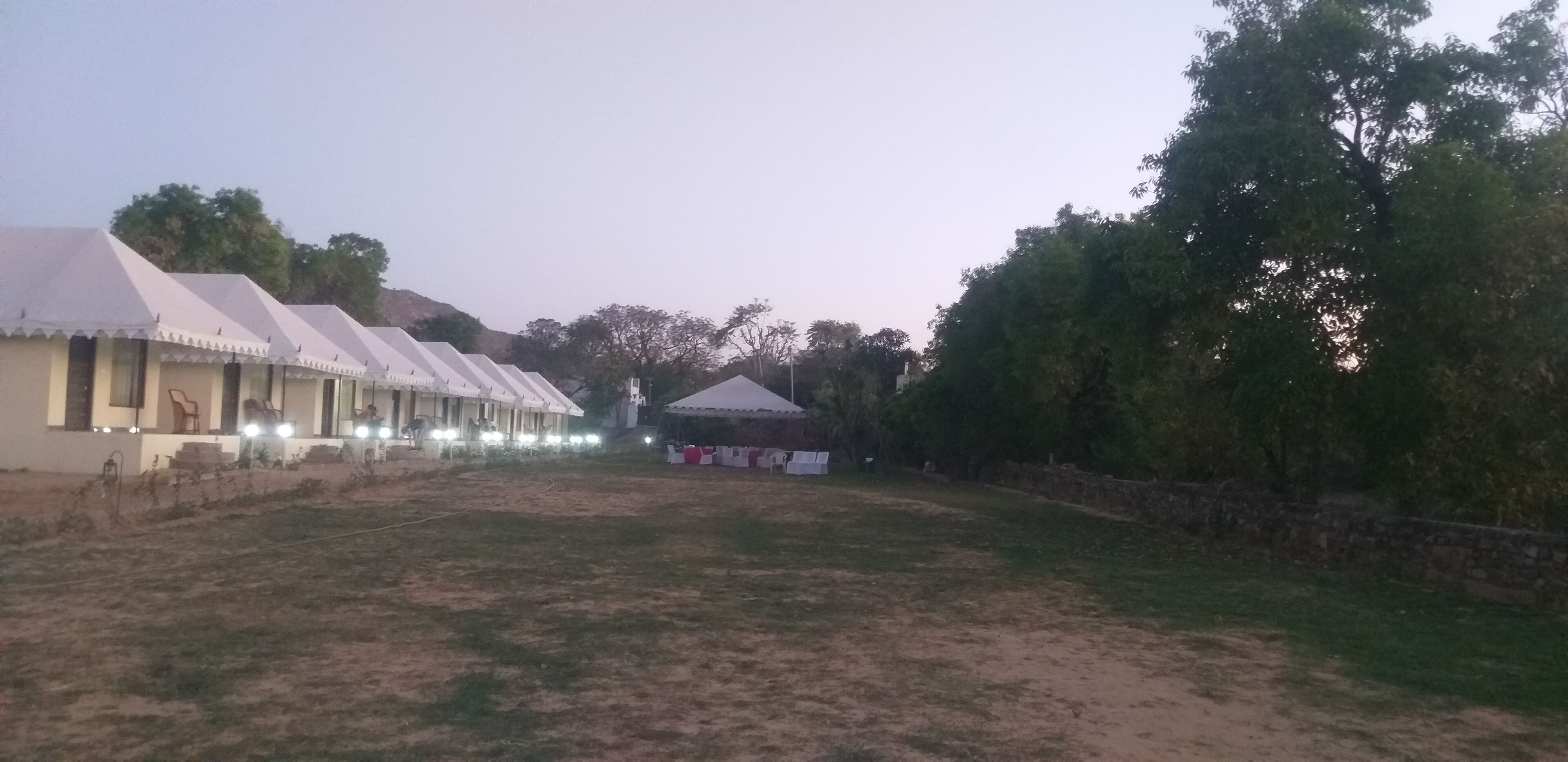 A row of white tents with a grassy field in the foreground and trees in the background.