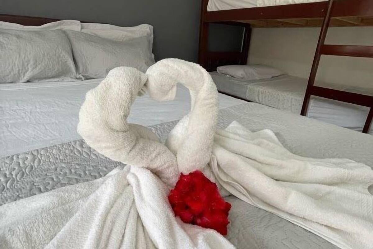 A hotel room with a bunk bed and a neatly made bed with a towel sculpture and a red rose.