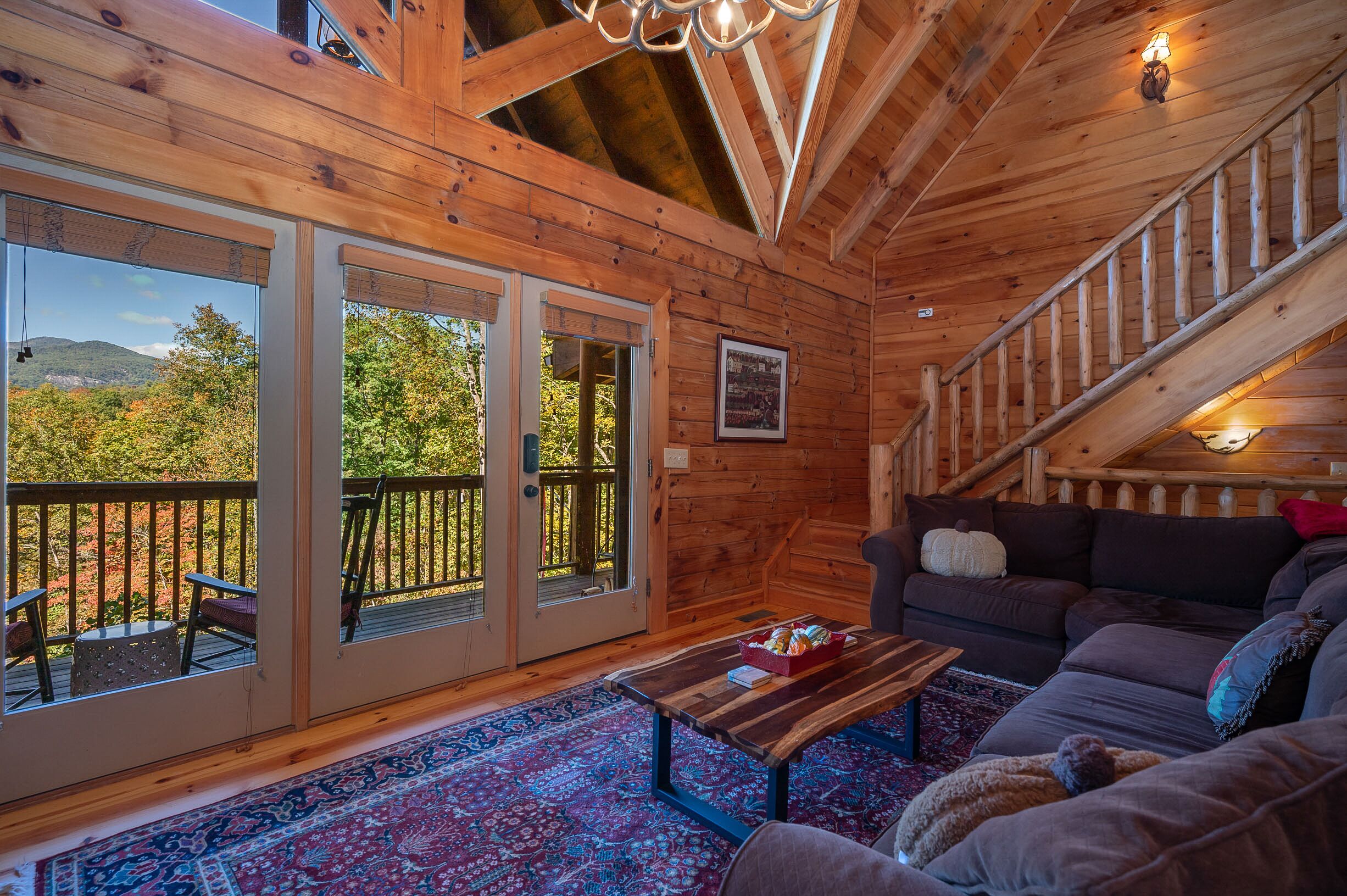 Smart TV, caminetto, lettore DVD, libri