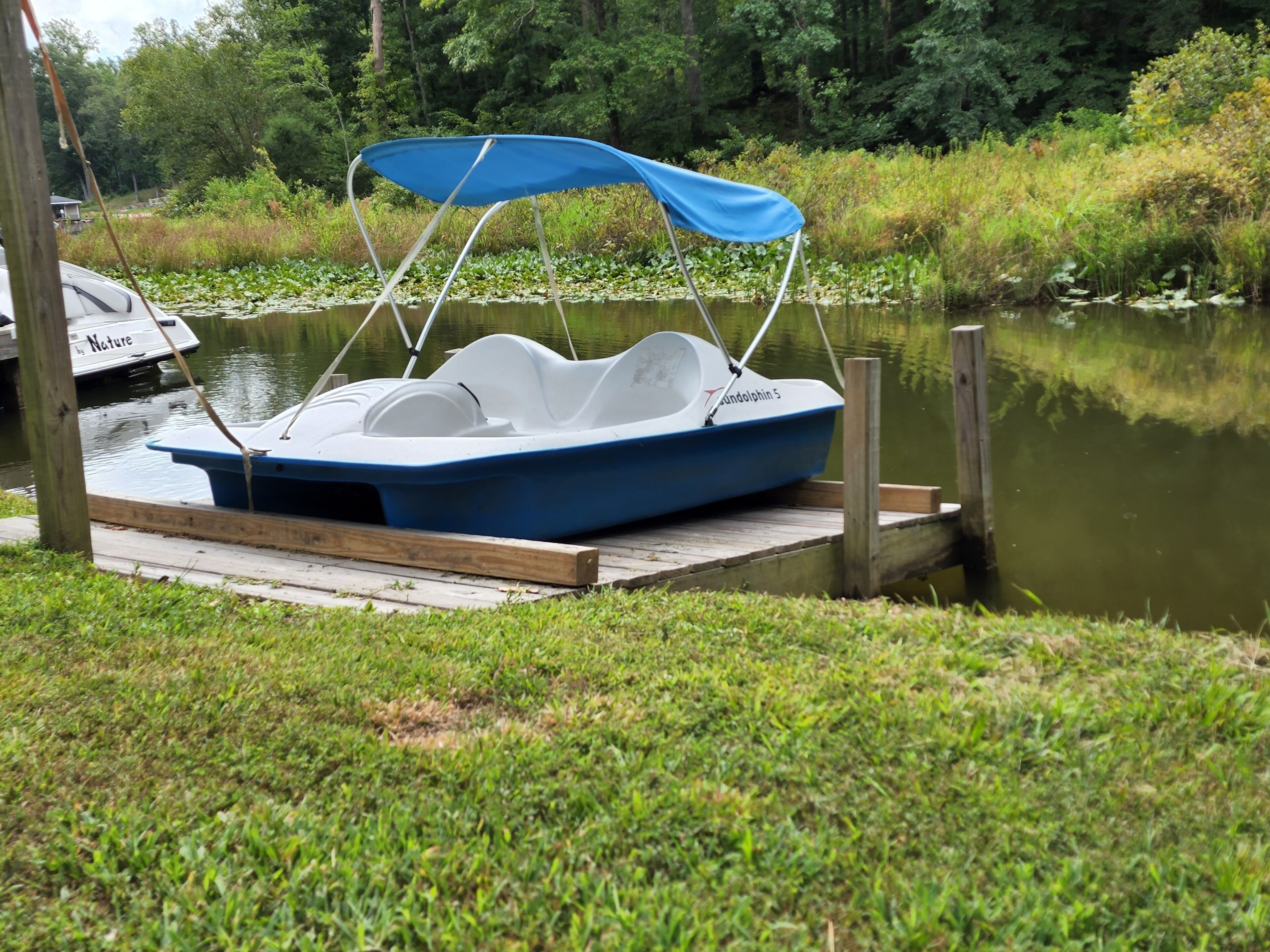 Un bateau était amarré à un quai en bois, avec une zone herbeuse en premier plan.
