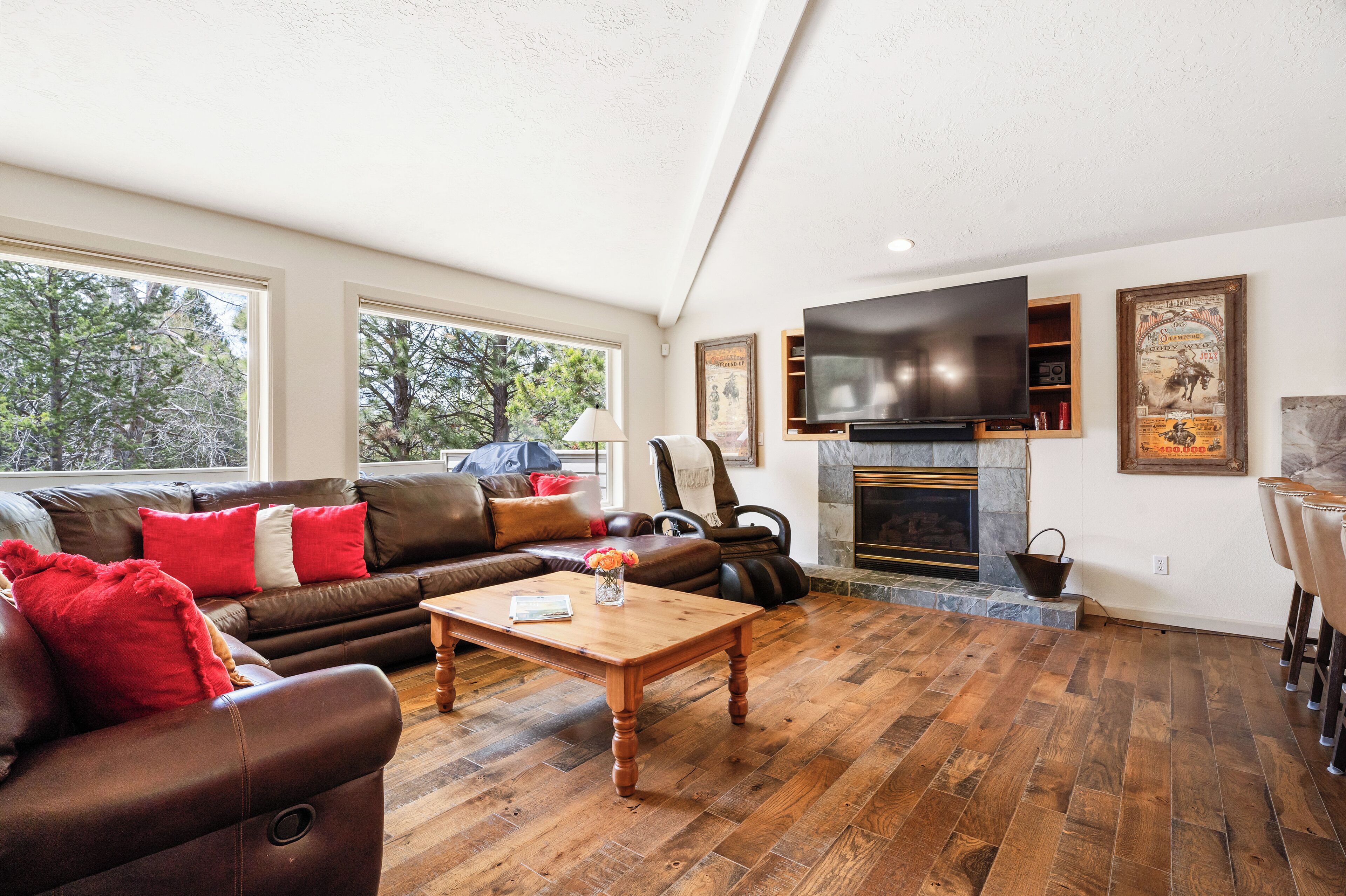 TV, fireplace