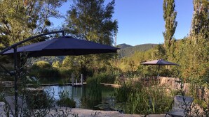 Un espace patio doté d’un sol en pierre, de deux parasols, d’un bassin et d’une végétation environnante.