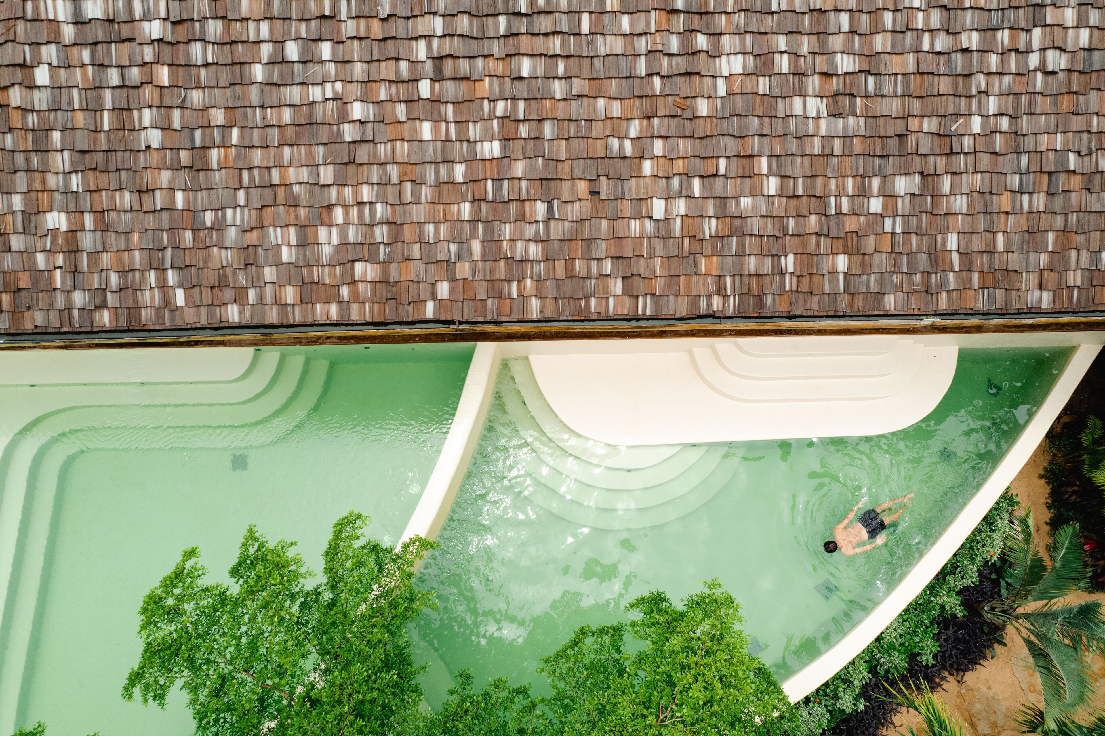 Vista aérea de una piscina con techo de azulejos, rodeada de vegetación.