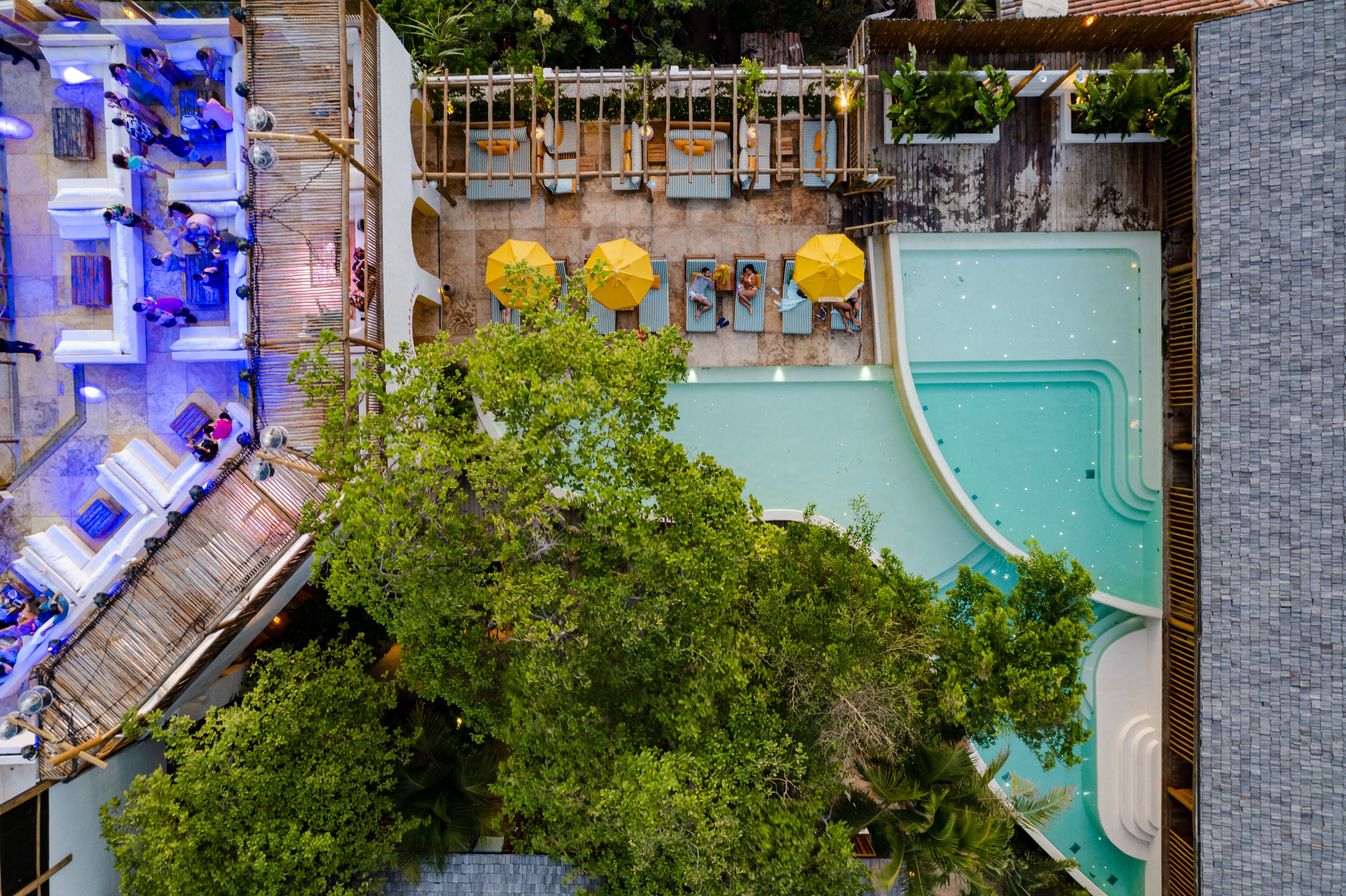 Área de piscina en la azotea con varias sillas de descanso y sombrillas, rodeada de abundante vegetación.
