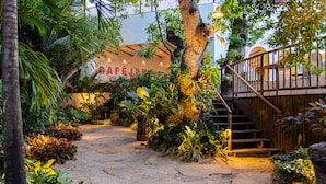 A tropical garden pathway leading to a building with a sign reading "CAFÉ". - Café Jeri Hotel - Adults Only (Jijoca de Jericoacoara)