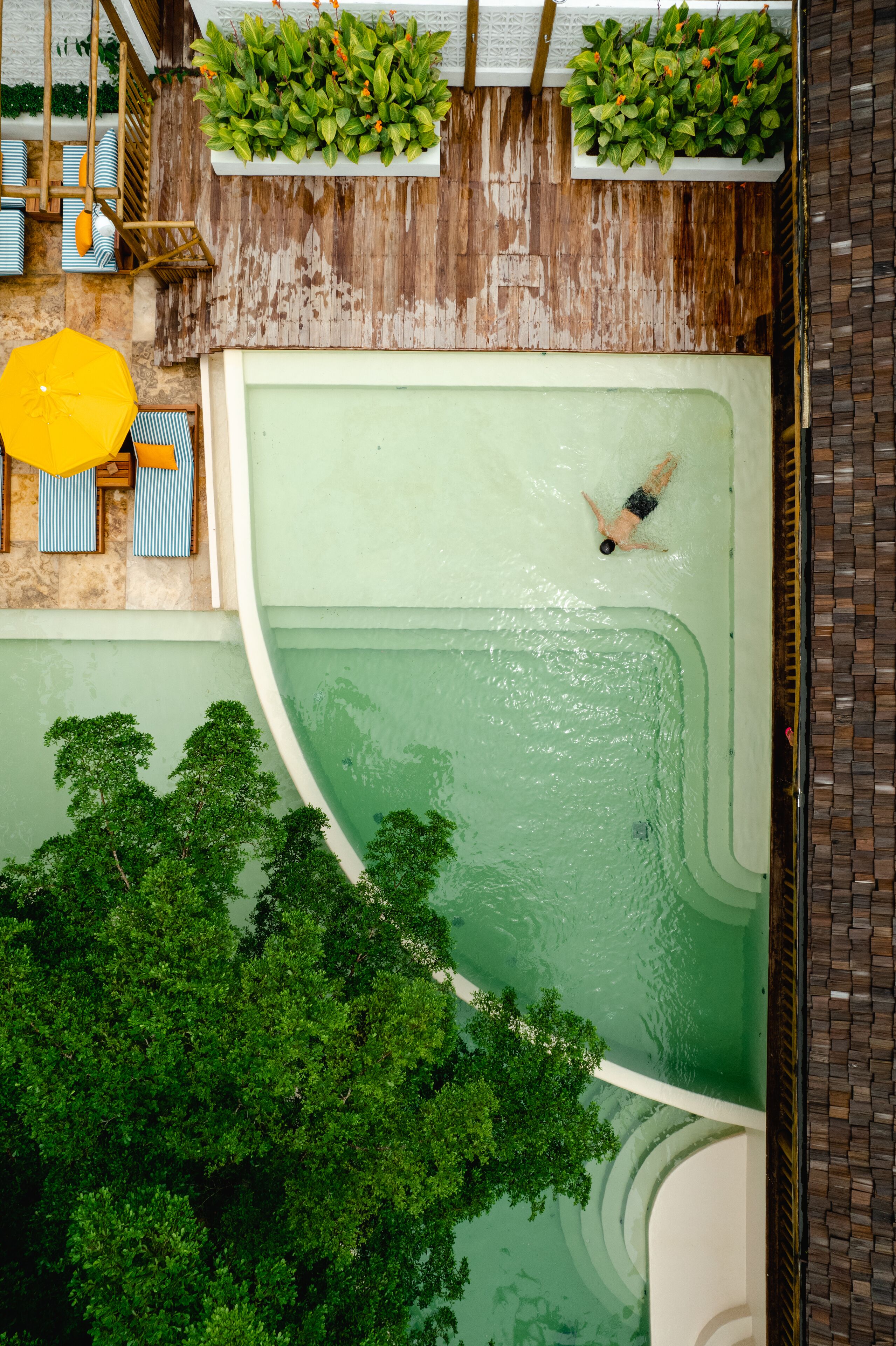 A swimming pool with a person swimming, surrounded by greenery and a wooden deck.