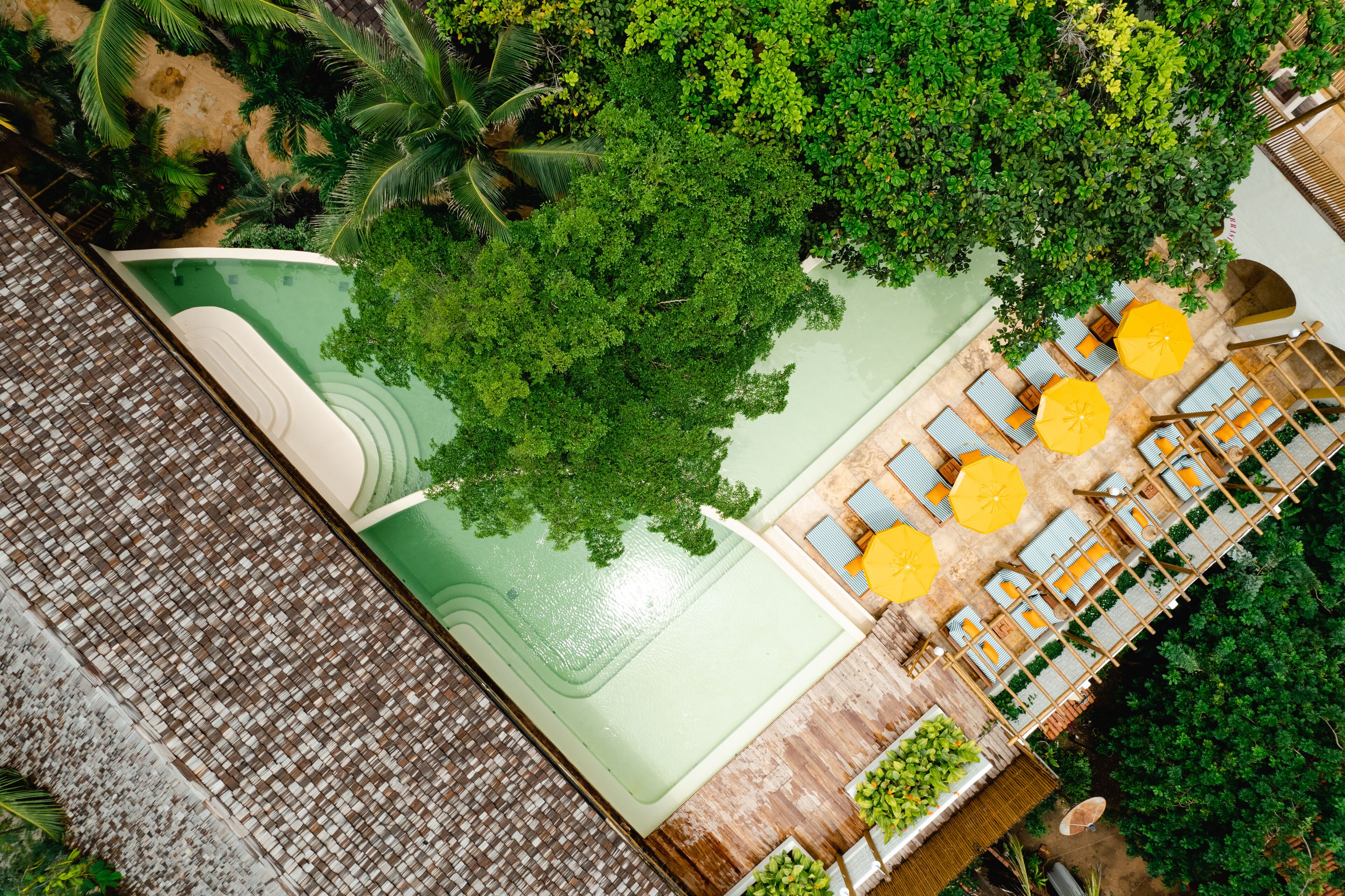 Luchtbeeld van een resort met een zwembad, een loungegedeelte met gele parasols en weelderige begroeiing.
