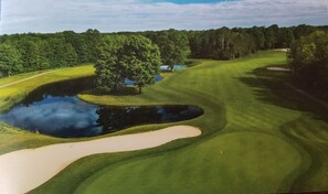 Golf