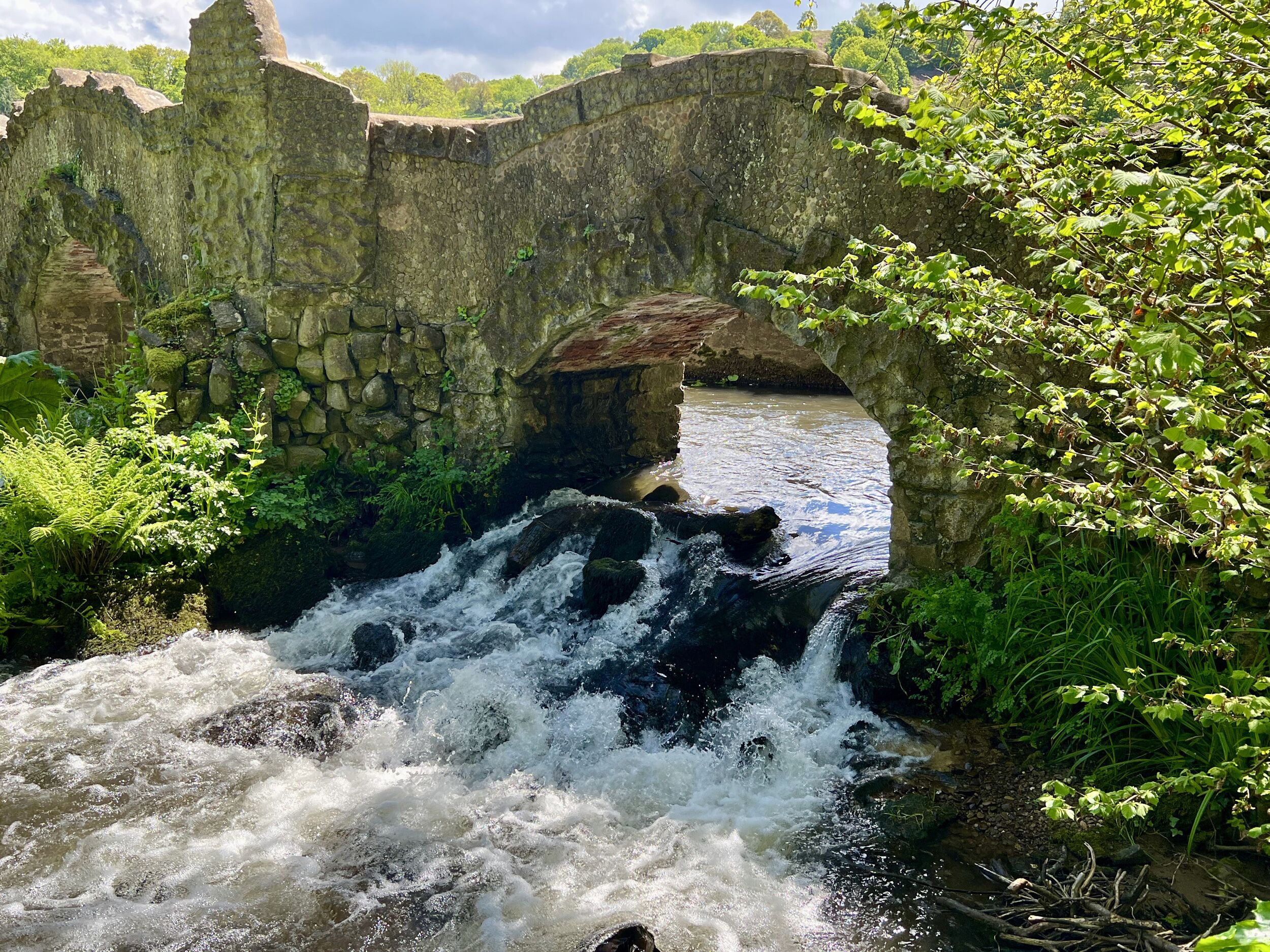 A stone bridge over a flowing river with lush greenery on either side.
