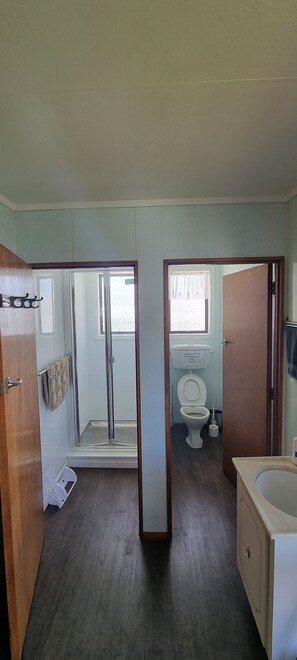 Shower, towels, toilet paper