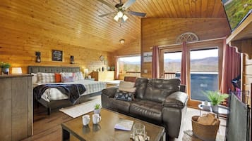 Télévision, cheminée, espaces bureaux