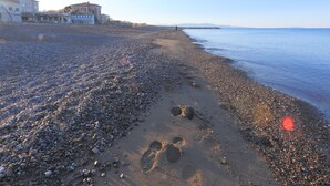 Una playa de guijarros con huellas, cielo despejado y edificios al fondo.