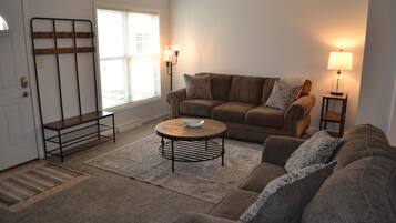 Smart TV, fireplace, books