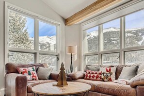 TV, fireplace, books, offices
