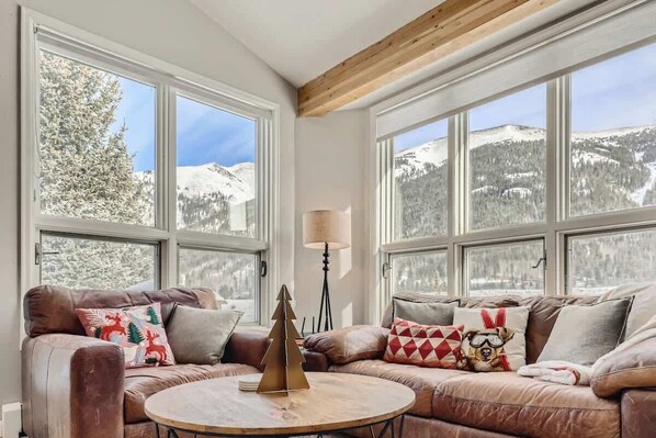 TV, fireplace, books, offices - Ski/Golf Duplex-Views, Base of Mtn, Close to Lifts (Copper Mountain)