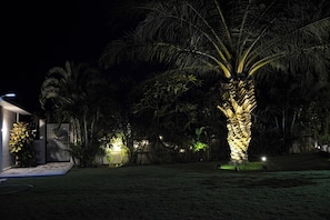 Vista noturna de um bairro residencial com uma palmeira bem iluminada e uma casa com entrada visível.